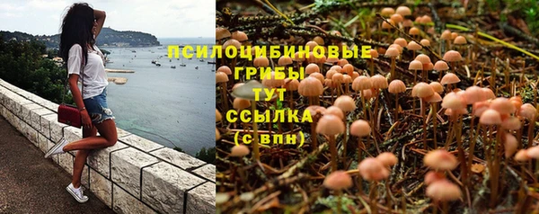 спайс Козловка